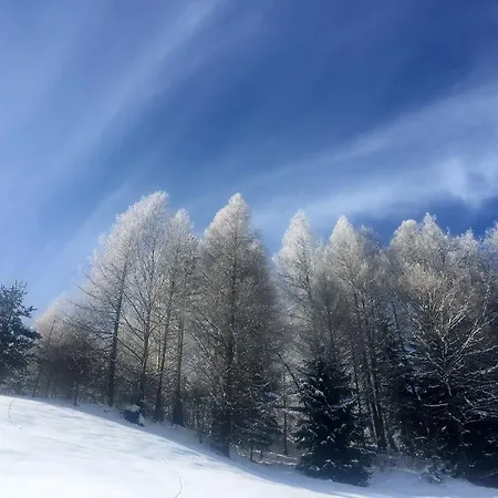 Sonnen Alp Garni